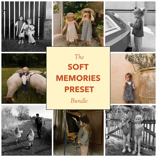 Soft Memories Presets | by Lieselot Engelen